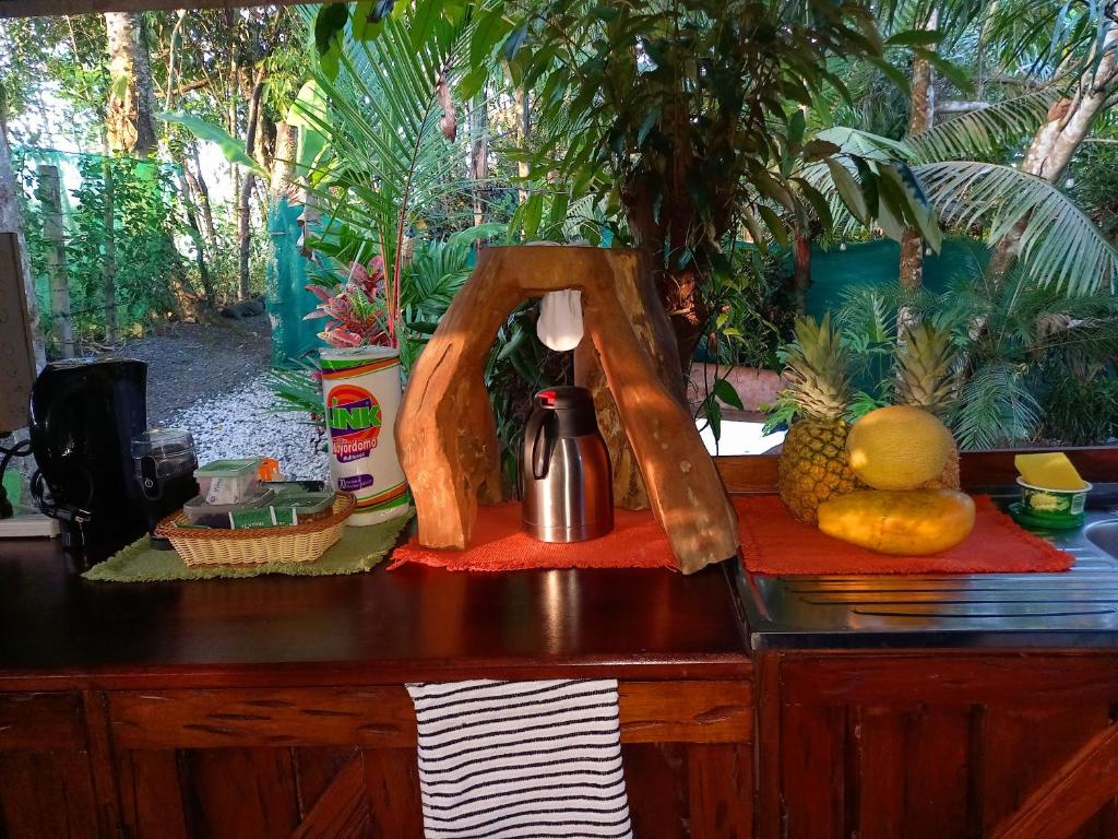 Zahrada ubytování Momotus Glamping