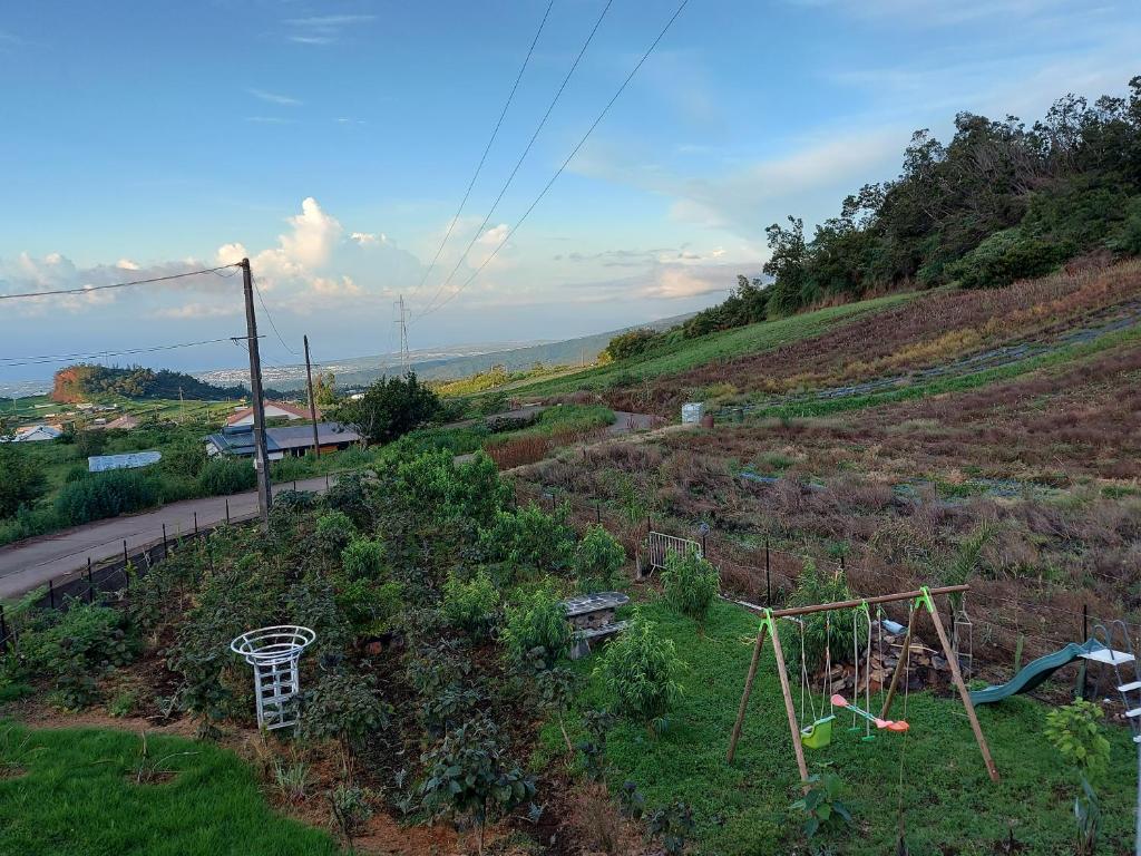 a hillside with a vegetable garden on it at Ti kaz Payet,la fraicheur des hauts in Le Tampon