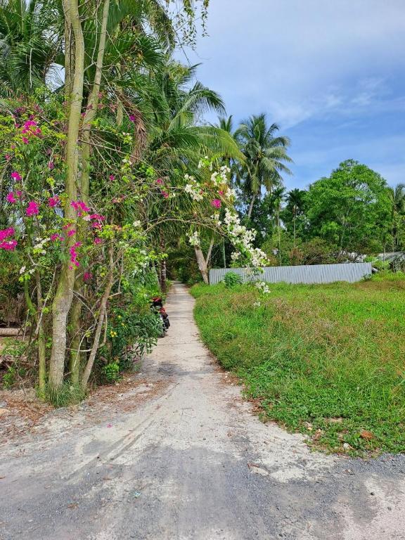 Lime homestay