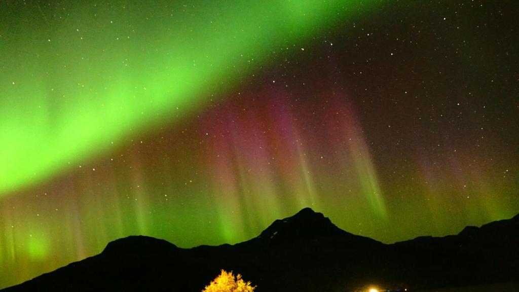 an image of the northern lights in the sky at Norwegian Dream in Gratangen