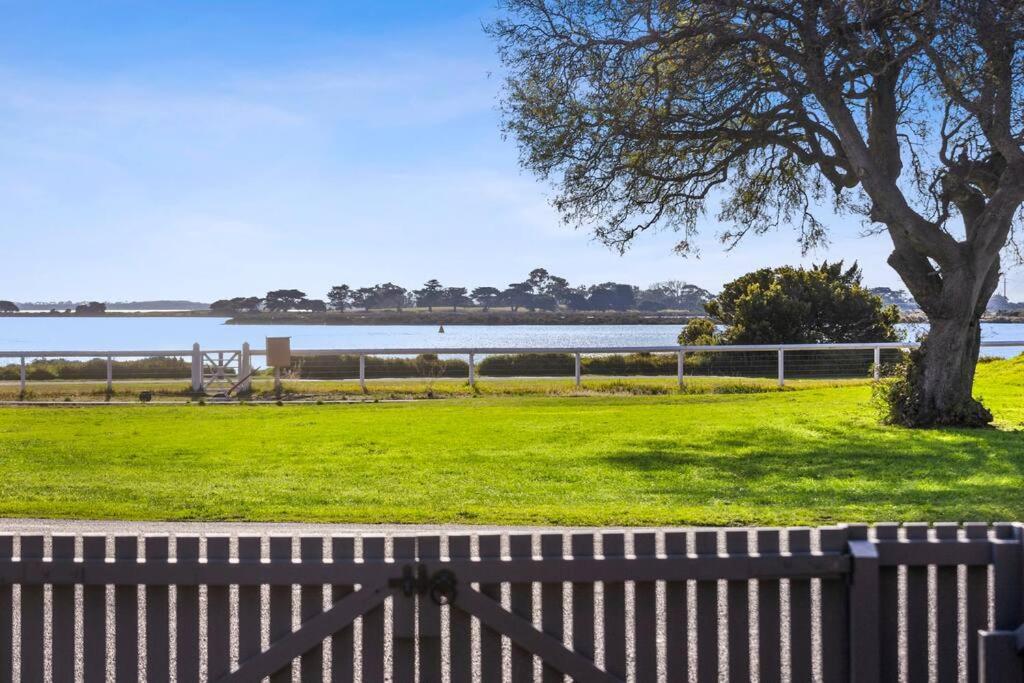 a park with a tree and a fence and water at Want extra FREE nighly stays added to your booking Shoot me a message before you book to find out how in Queenscliff