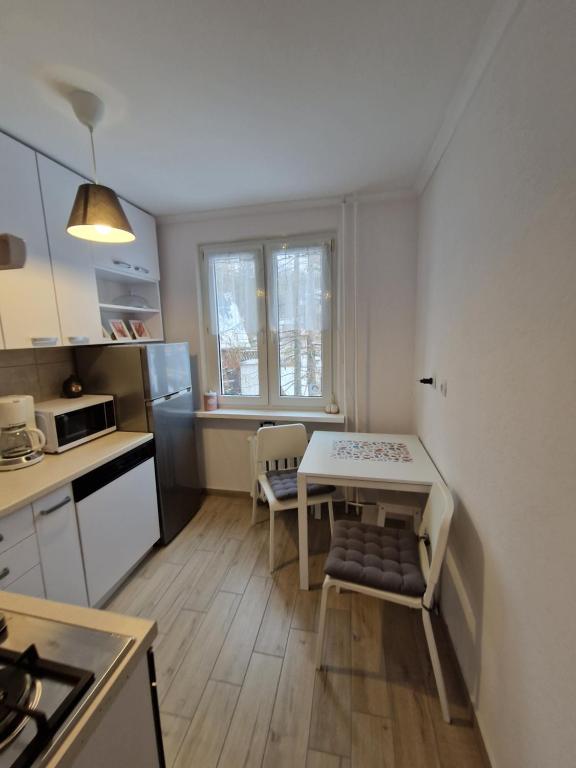 Kuchyňa alebo kuchynka v ubytovaní Apartament Górska Panorama
