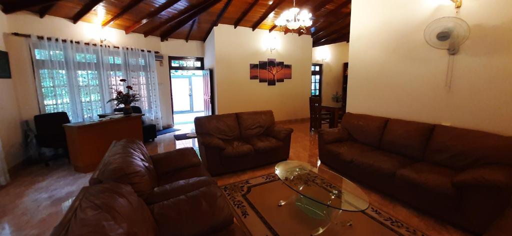 Kandy Bliss Lounge - 12