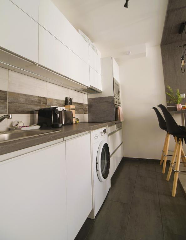 Kuchyňa alebo kuchynka v ubytovaní Tisza River Apartman