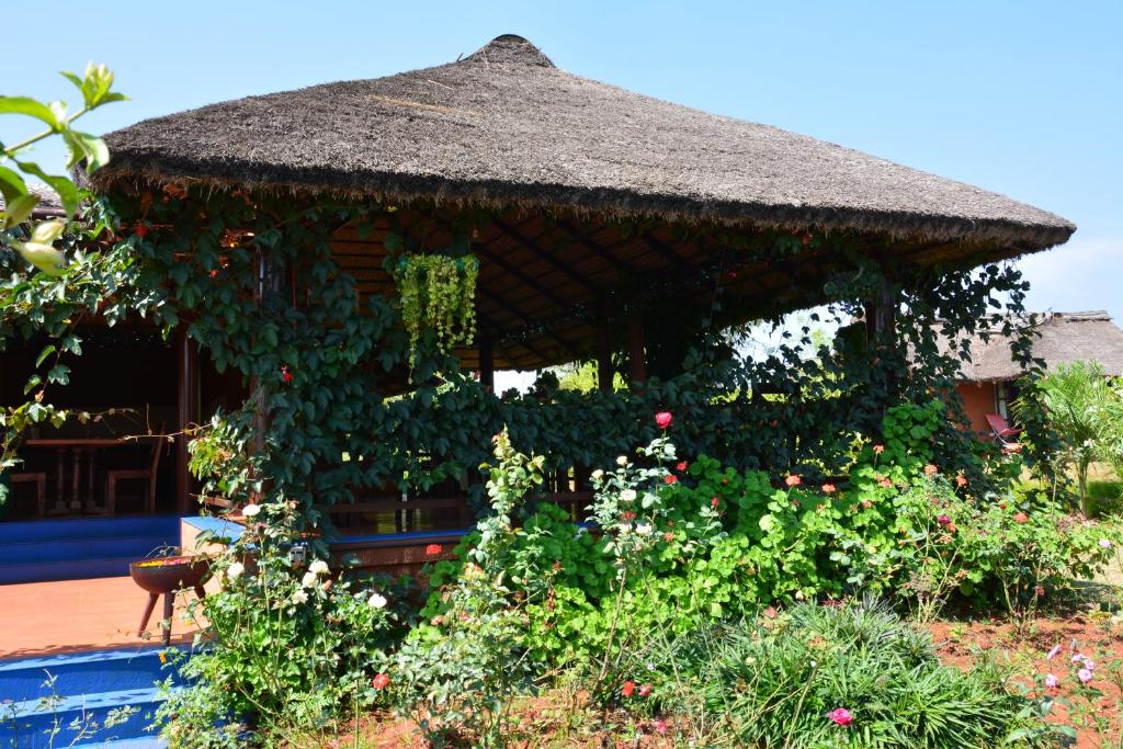d'un kiosque avec un toit de paille dans le jardin. dans l'établissement Red Earth Kabini, à Begūr