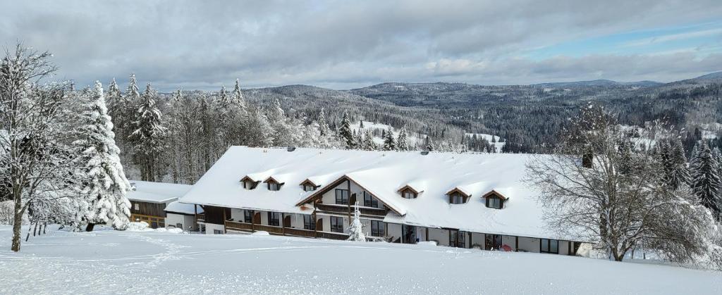 uma casa coberta de neve nas montanhas em 2 Zimmer Mitterdorf em Philippsreut