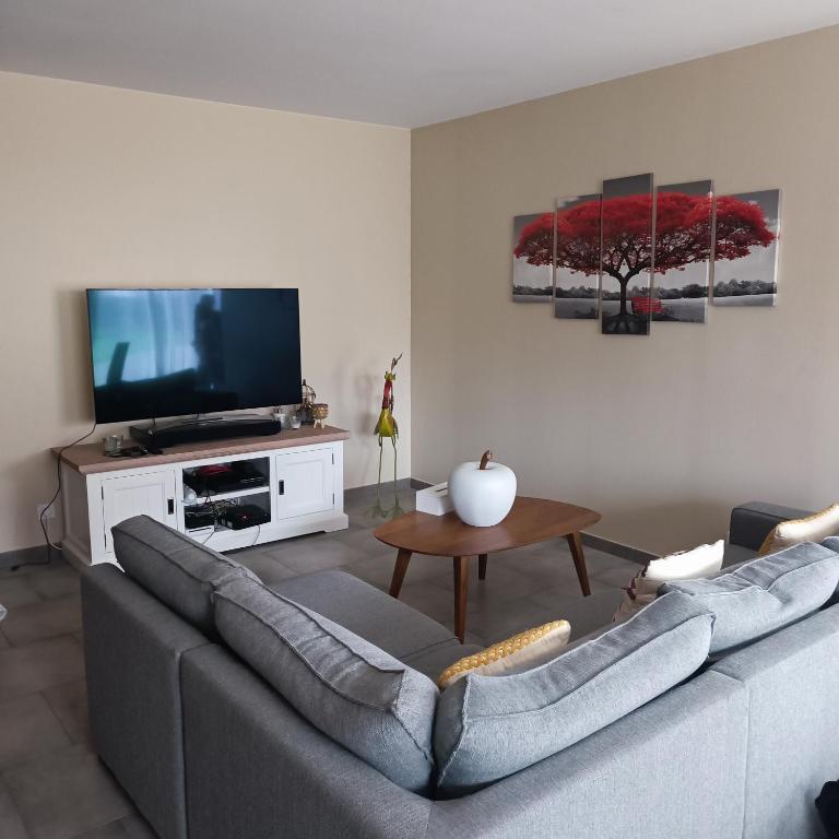 salon z szarą kanapą i telewizorem w obiekcie Maison pour location de chambre circuit 24H et GP w mieście Aigné