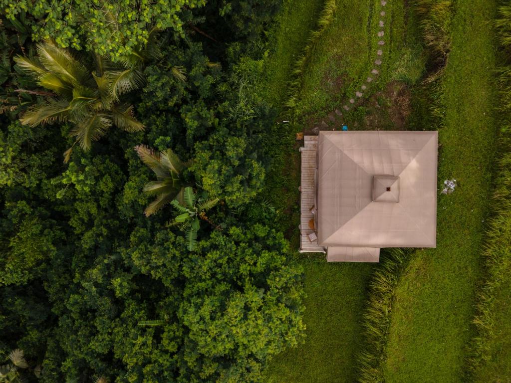 Vaade majutusasutusele Nadi Nature Resort - Adults Only linnulennult