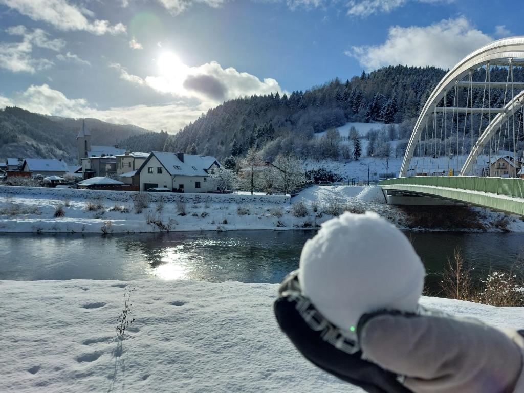 una persona con un guante cubierto de nieve junto a un puente en Kosciuszko Apartment, en Muszyna