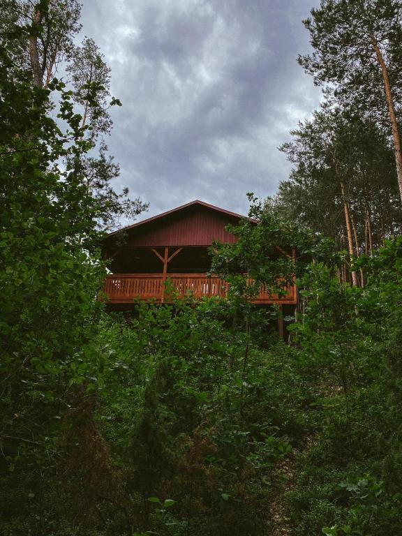 Domki w Sosnowym Lesie - Villa Supérieure