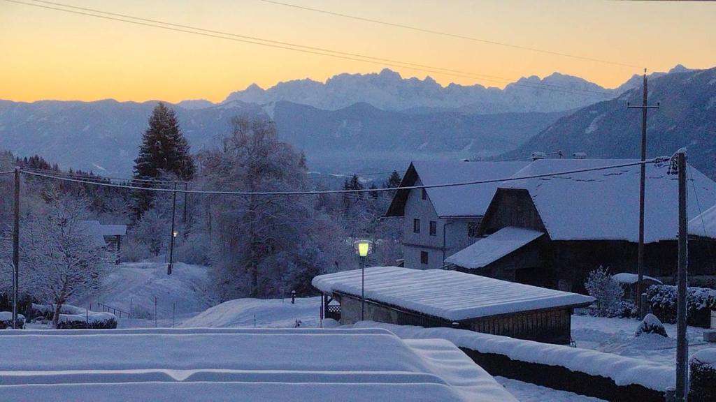 Eco-Chalet Matschiedl during the winter