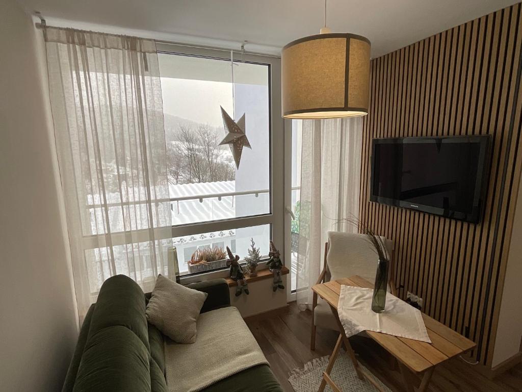 Televízia a/alebo spoločenská miestnosť v ubytovaní HEARTH HILL VIEW APARTMENT