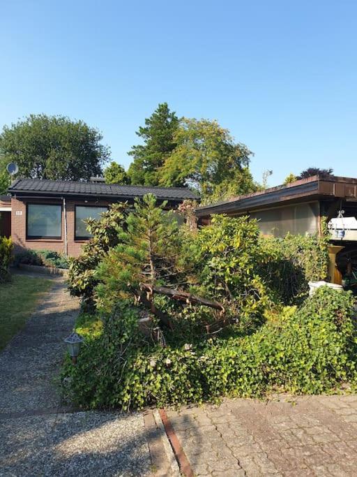Bungalow 3Zimmer / Wlan / Garten / Parkplatz, Stadt Schenefeld
