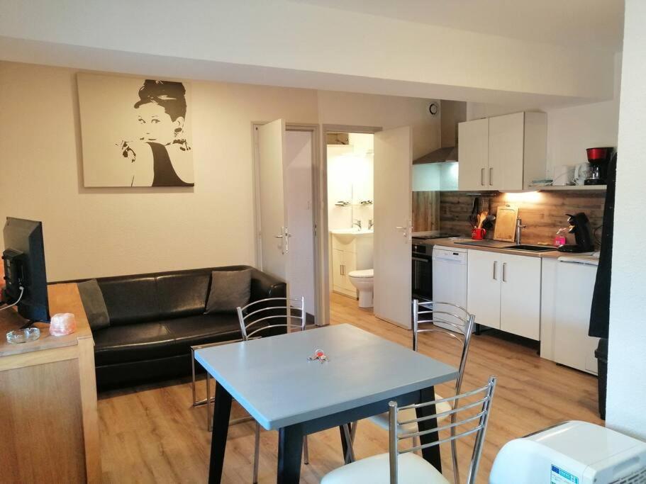 Kuchyň nebo kuchyňský kout v ubytování Joyeuse, superbe appartement d'environs 30m2.