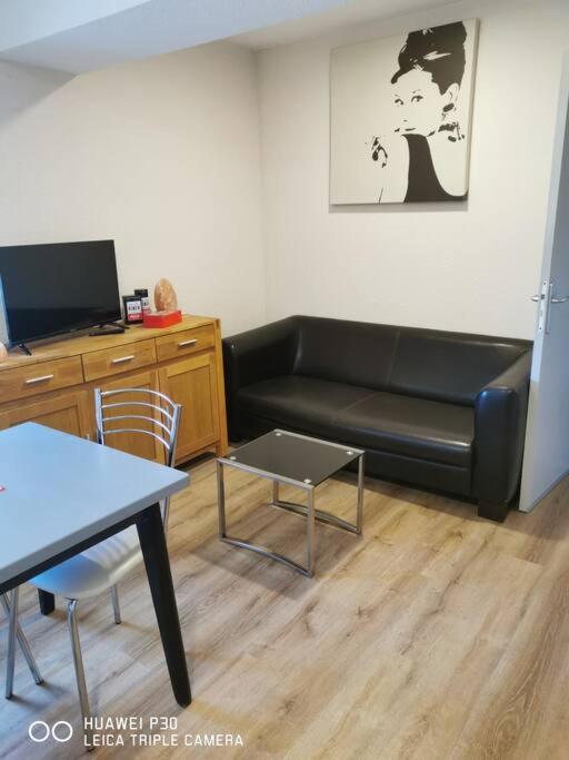 TV a/nebo společenská místnost v ubytování Joyeuse, superbe appartement d'environs 30m2.