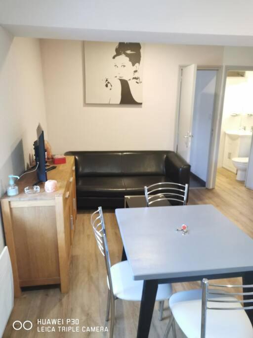 Posezení v ubytování Joyeuse, superbe appartement d'environs 30m2.