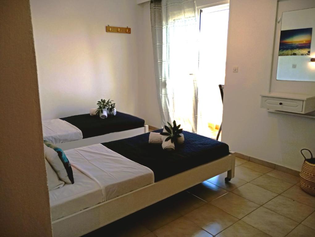 Nautilus City Studios & Apartments - 19