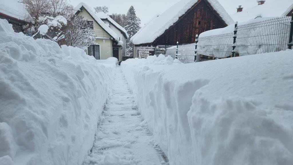 a snow covered alley with snow covered fences at Chalupa U Miška in Hyby
