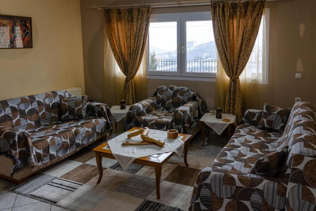 Sala de estar con sofás y mesa de centro en Dimitri's Mountain House, en Karpenisi
