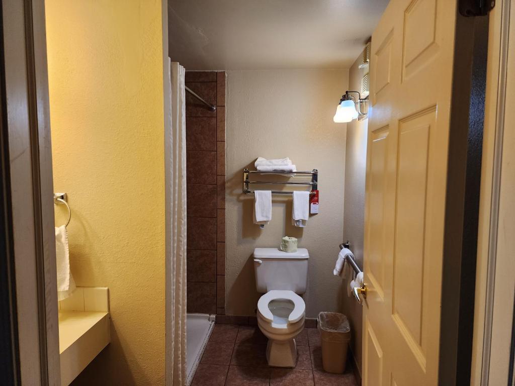 Koupelna v ubytování Econo Lodge & Suites