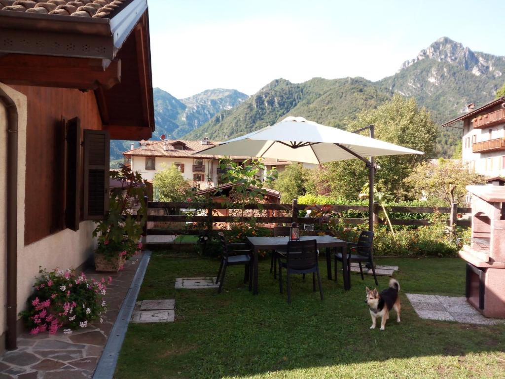 a cat standing next to a table with an umbrella at casetta Vittorio in Mezzolago