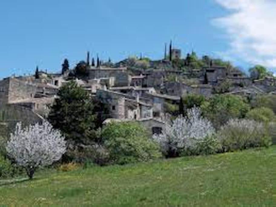 a village on top of a hill with trees at La maison bleue in Grane