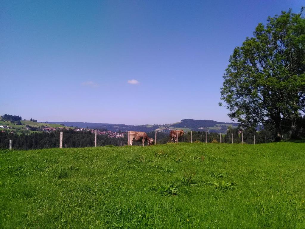 Příroda nedaleko apartmánu