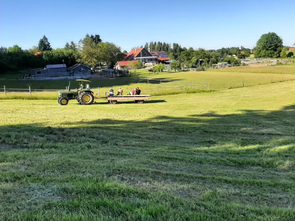Zahrada ubytování Spehnerhof