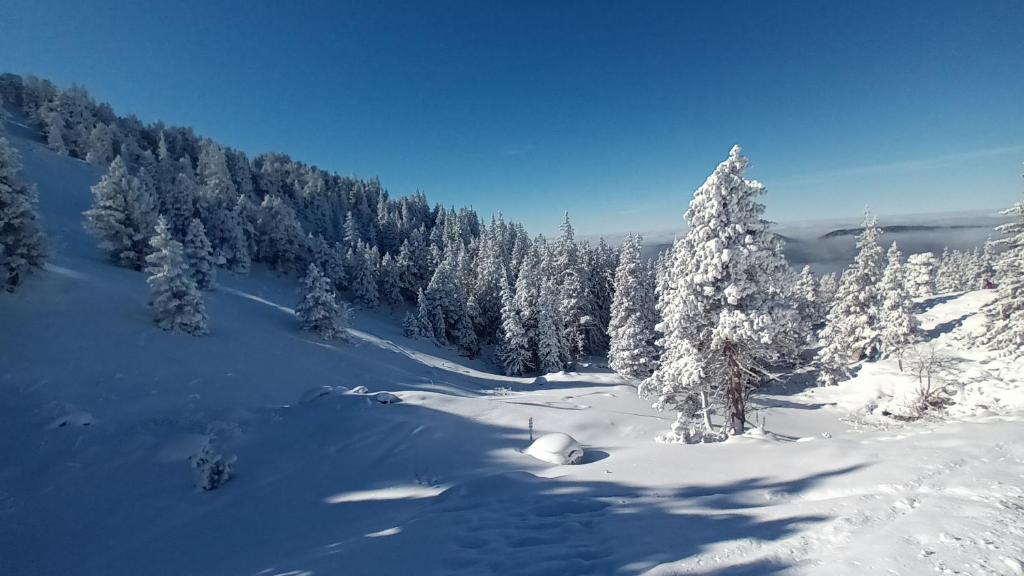 Au Chasseur – photo 49