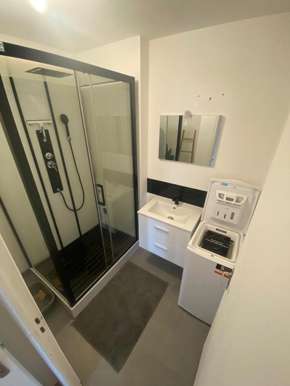 Kúpeľňa v ubytovaní Appartement duplex centre Dieppe-Le perchoir St Jacques-3 chambres