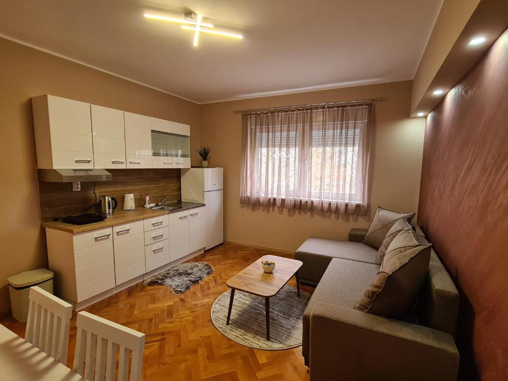 uma pequena sala de estar com um sofá e uma mesa em Apartman Drinić em Sombor