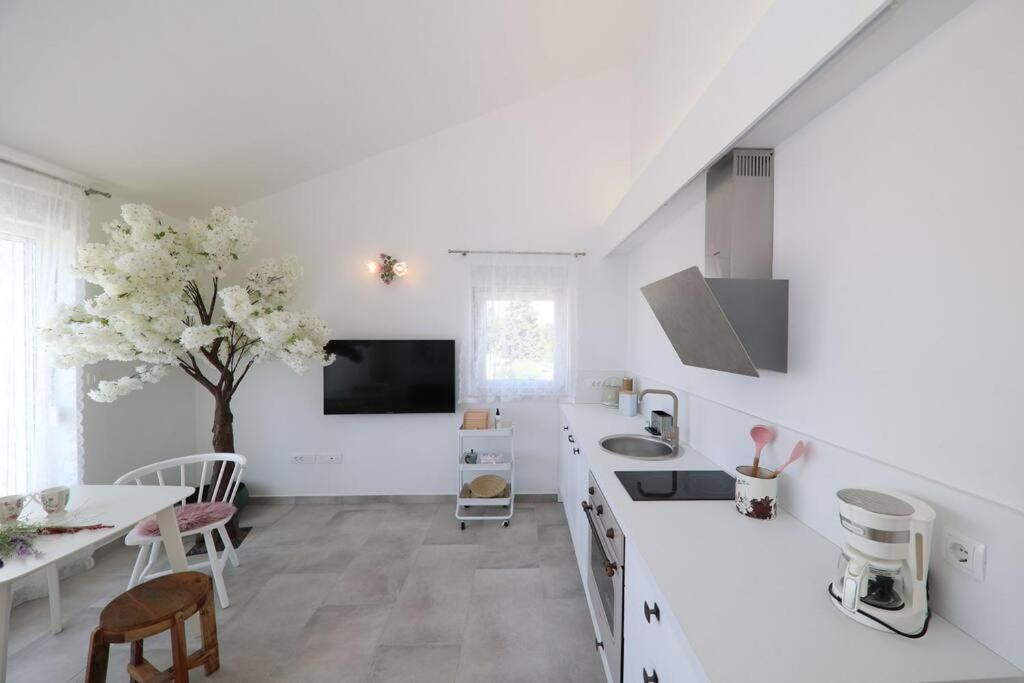 a white kitchen with a table and a tree in it at Apartment Fiorino in Zadar