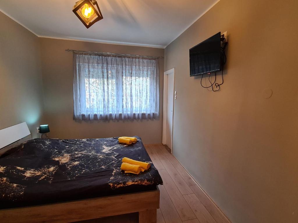 TV a/nebo společenská místnost v ubytování Apartman Drinić
