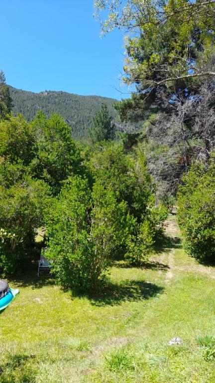 Paesaggio naturale nelle vicinanze dello chalet