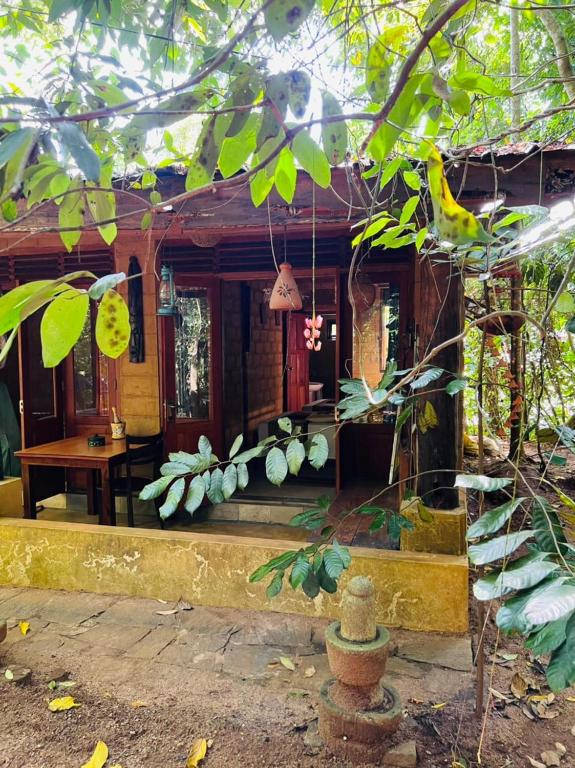 Zahrada ubytování Kandy Eco Retreat