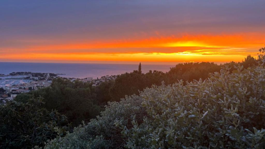 un coucher de soleil sur une ville avec un champ de fleurs dans l'établissement Superbe appartement Vue Mer et Piscine, à Bandol