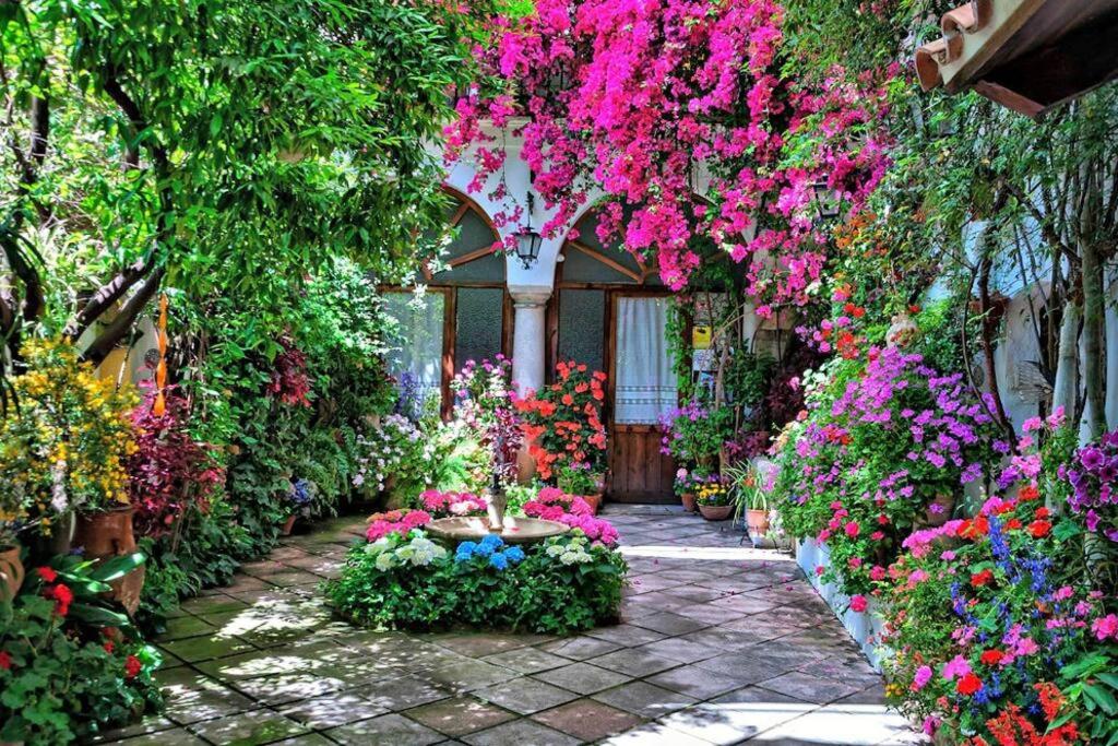 A garden outside NEW! Alojamiento - Los Patios de la Ribera
