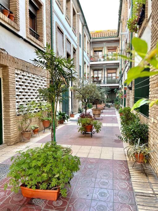 A garden outside NEW! Alojamiento - Los Patios de la Ribera