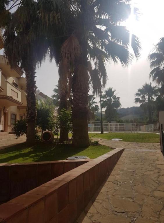 a palm tree sitting next to a retaining wall at Casa Ana in Benaoján