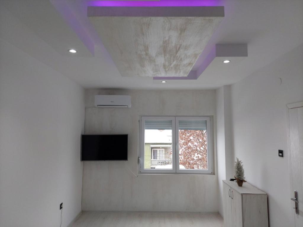 TV a/nebo společenská místnost v ubytování Apartman Aleksić u centru grada