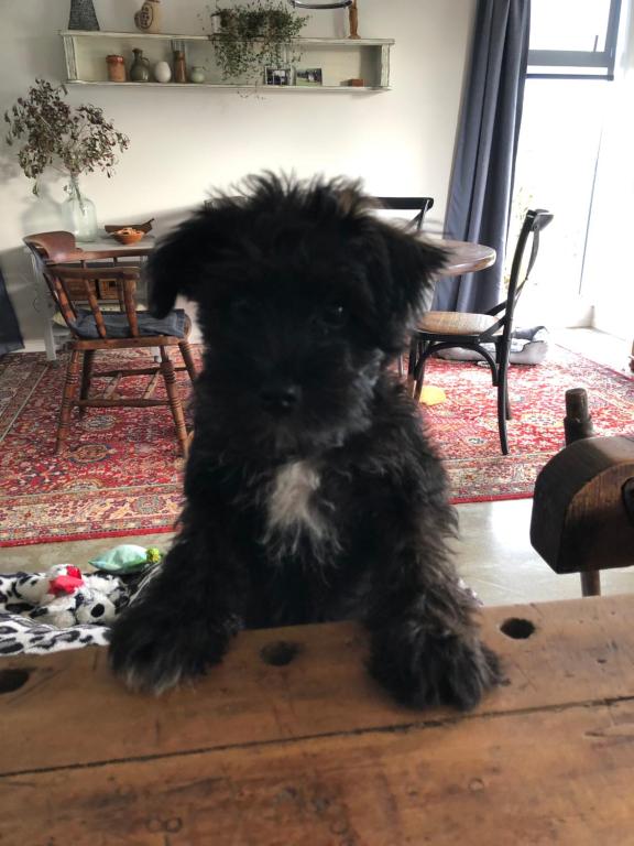 Cosy Country Stay B&B - Resim 26