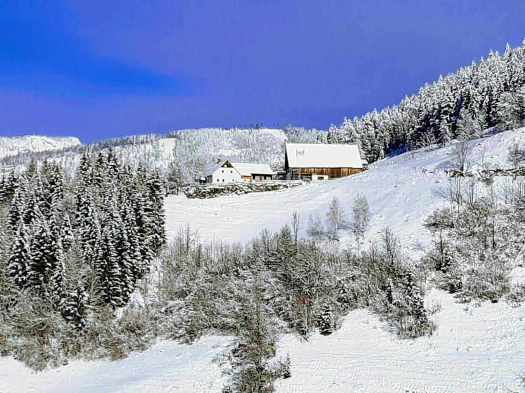 Το Familienbauernhof Imitz, Ferienwohnung τον χειμώνα