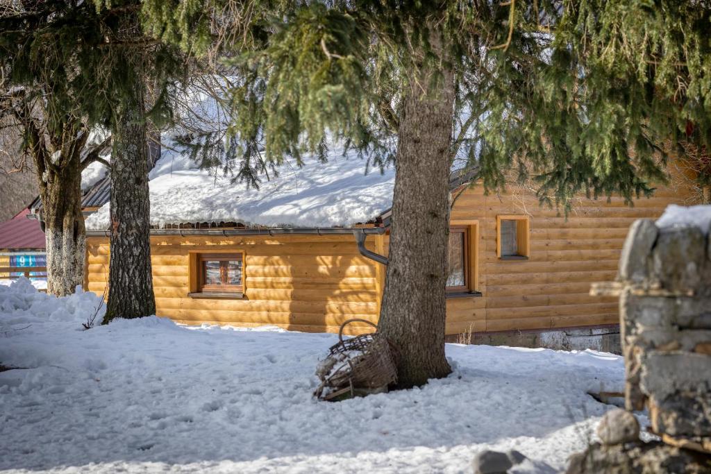 House under the Velebit mountain - Housity