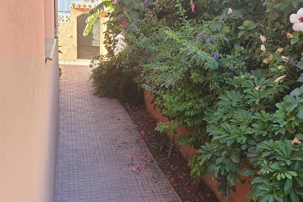 Vonkajšia záhrada v ubytovaní Casa Hurtado de Mendoza pequeña