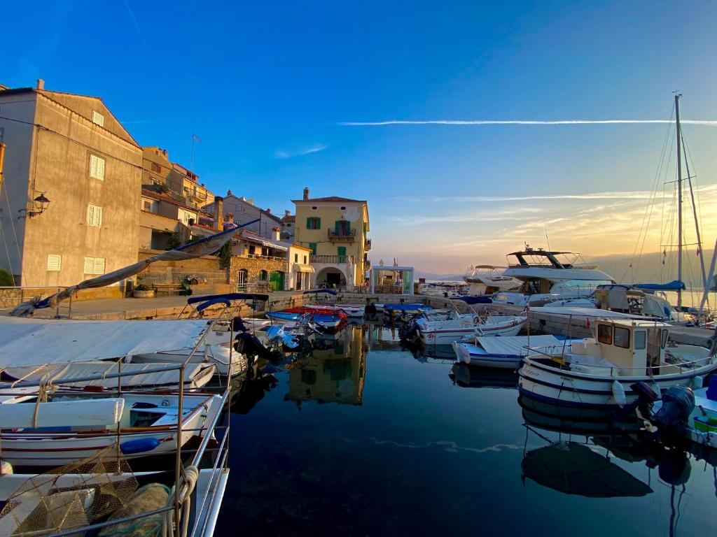 a group of boats are docked in a harbor at Bed and Breakfast Palac in Valun