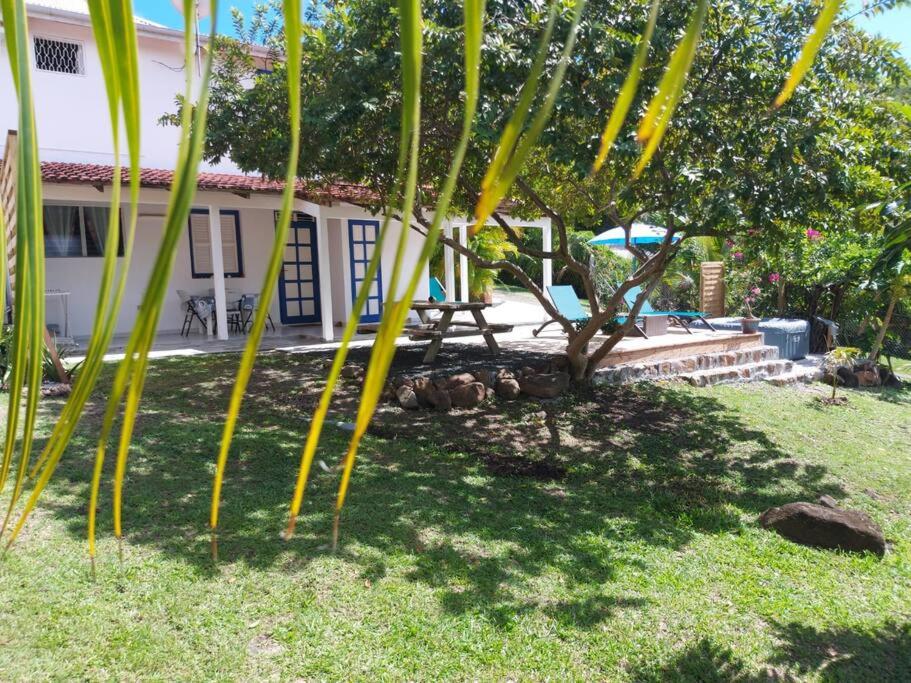 Zahrada ubytování Villa Campêche Marine