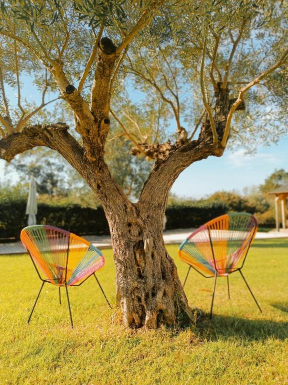 Residence Maïna - 14