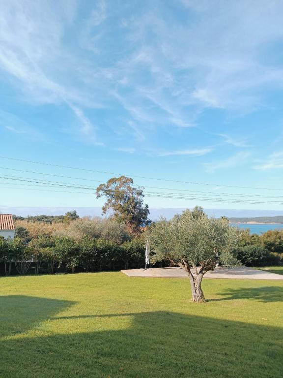 Residence Maïna - 16