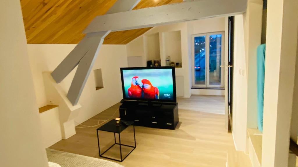 a living room with a television with two birds on the screen at Studio cros in Castres