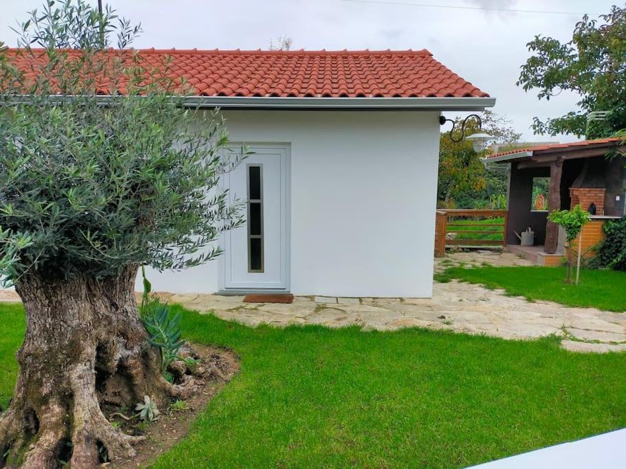 uma pequena casa branca com uma árvore no quintal em CASINHA DO RIO em Soure